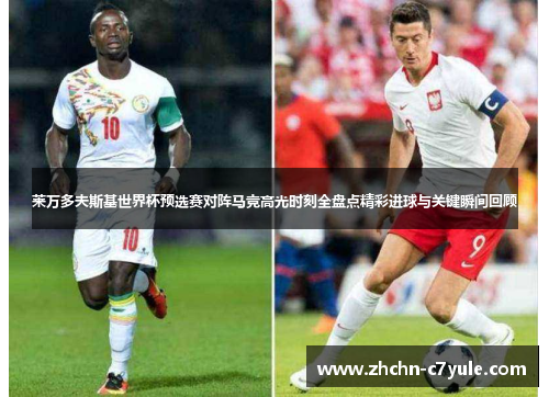 莱万多夫斯基世界杯预选赛对阵马竞高光时刻全盘点精彩进球与关键瞬间回顾 莱万多夫斯基世界杯预选赛对阵马竞高光时刻全盘点精彩进球与关键瞬间回顾